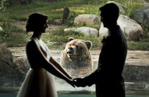 10 медведей, которых фотографу удалось застать врасплох