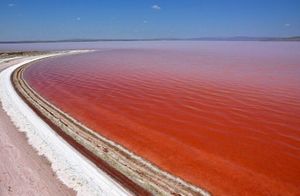 Где находится самое соленое в мире озеро, и что с ним стало сегодня