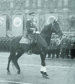 Что в итоге стало с лошадью, на которой Рокоссовский командовал Парадом Победы