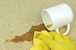 Пятна на ковре и мягкой мебели: домашние способы очистки