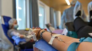 Москвичам рассказали о донорстве крови с отрицательным резус-фактором