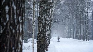 В некоторые регионы России придет аномальное похолодание