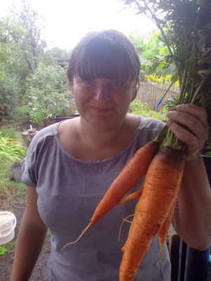 Как сохранить морковь холодной зимой?