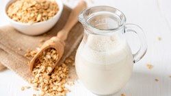 Овсяное молоко как заменитель коровьего молока. Насколько здорова альтернатива?