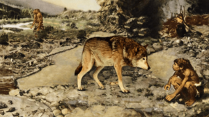 Самые старые породы собак, которые сохранились до сегодняшних дней