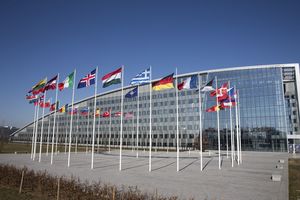 НАТО выразило желание помочь Польше с мигрантами на границе с Белоруссией