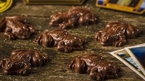 Шоколадные лягушки Гарри Поттера: рецепт волшебного блюда