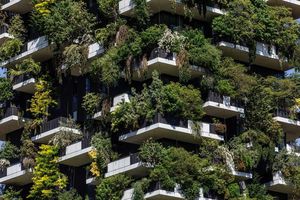 Увенчалась ли успехом идея итальянских строителей разбить лес посреди города и соединить его с многоэтажным зданием