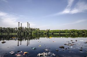 Опасности не миновать: как загрязнение может совсем скоро уничтожить планету