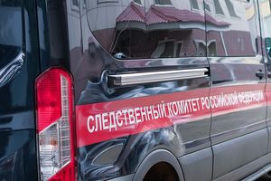 СК возбудил дело против полицейских из-за задержания школьницы в Петербурге