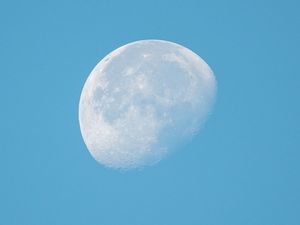 Убывающая Луна с 20 ноября по 3 декабря 2021 года: что можно делать и что нельзя