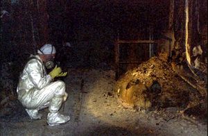 Видео: Кто живет внутри чернобыльского саркофага