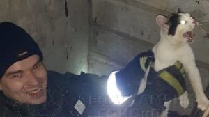 Спасатели помогли кошке, застрявшей в подвале в столице