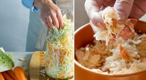 В чём кардинальная разница между квашеной и салатной капустой