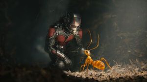 Завершились съемки третьей части «Человека-муравья» с Полом Раддом в главной роли