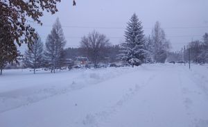 После снегопада возле СФУ 