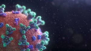 Глава WMA сравнил опасность штамма «омикрон» с Эболой