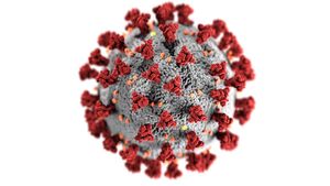 Ученый объяснил, почему «омикрон»-штамм коронавируса появился именно в Африке