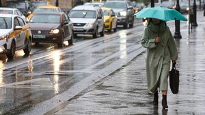 Синоптики сообщили о дождливой погоде в Москве 29 ноября