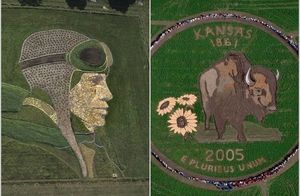 Как художник превратил землю в холст: поразительные картины Стэна Херда на полях