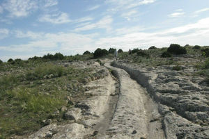 Окаменевшие следы древних «вездеходов» в Турции и Испании геолог оценивает в 12 миллионов лет