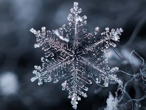 Приметы к первому дню зимы: как привлечь удачу 1 декабря