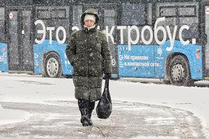 Синоптик: Балканский циклон принесет до 20 процентов месячных осадков в Москву 7 декабря