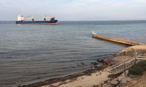 Польские пограничники задержали российский сухогруз в Балтийском море