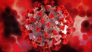 Первые два случая заболевания «омикрон»-штаммом коронавируса выявили в России