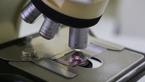 Монокристаллы для точной диагностики рака разрабатывают российские ученые