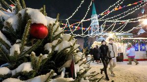 Адвокат Шевцова предупредила россиян о штрафах на Новый год