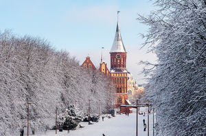 Зима в России: от Калининграда до Сахалина