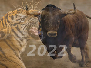 Животный гороскоп: какие животные покровительствуют 2022 году