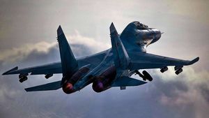 Самолет МО РФ с отказавшим двигателем совершил экстренную посадку в Псковской области