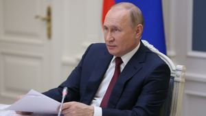 США поддерживают идею о встрече с Путиным, заявили в офисе Зеленского