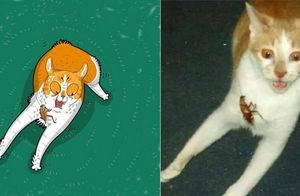 16 работ художника, который делает рисунки самых смешных котов из интернета