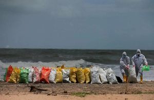 Искусственный захватчик: как пластик уничтожает морских обитателей в Шри-Ланке