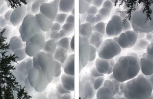 Видео: В Аргентине люди сняли на камеру редчайшие вымеобразные облака