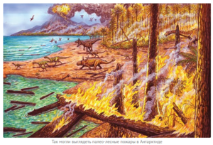 75 миллионов лет назад в Антарктиде бушевали пожары    