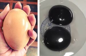 Мужчина разбил яйцо, а там абсолютно черный желток, но храбрец все же попробовал его