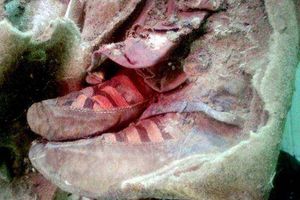 Судя по этой находке археологов, кроссовки Adidas носили в Монголии еще 1500 лет назад