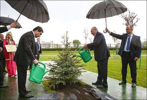 Фото дня: президенты поливают ёлку под дождём