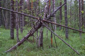 Под Владимиром гуляет Снежный человек?