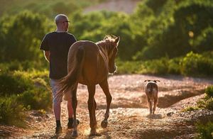 Житель Турции превратил свою ферму в приют для животных: кто только у него не живет