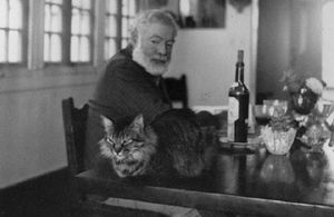 «За каждым великим человеком стоит кот»: Эрнест Хемингуэй и его пушистые питомцы