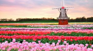 Какие достопримечательности обязательно стоит посетить в Нидерландах?