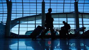 Около 30 рейсов задержали и отменили в московских аэропортах
