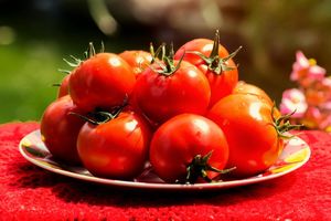 Когда в России появились томаты и история происхождения помидоров