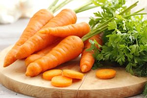 Когда в России впервые появилась морковь, история ее происхождения