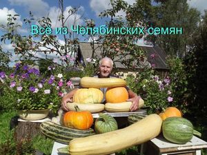 Урожай из семян НПО «Сады России»